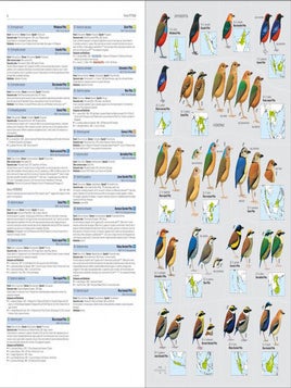 HBW and Birdlife International illustrated checklist of the birds of the world, volume two: passerines.