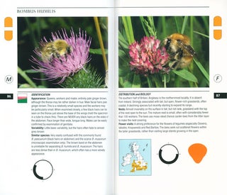 Field guide to the bumblebees of Great Britain and Ireland.
