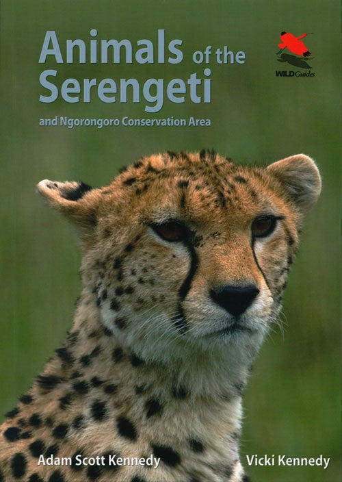 Stock ID 36618 Animals of the Serengeti and Ngorongoro Conservation Area. Adam Scott Kennedy, Vicki Kennedy.