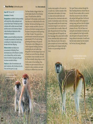 Animals of the Serengeti and Ngorongoro Conservation Area.