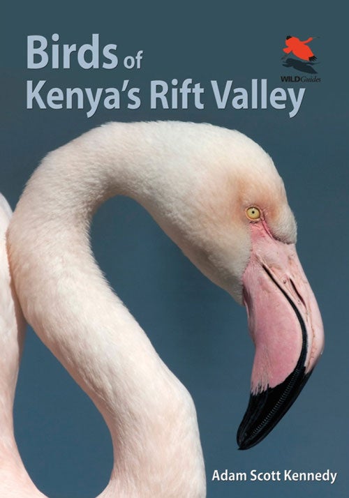 Stock ID 36620 Birds of Kenya's Rift Valley. Adam Scott Kennedy.