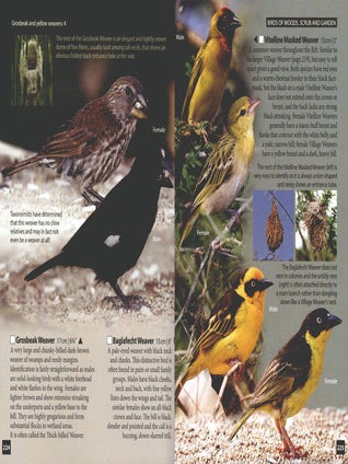 Birds of Kenya's Rift Valley.