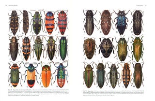 Australian beetles, volume two: Archostemata, Myxophaga, Adephaga, Polyphaga (part).