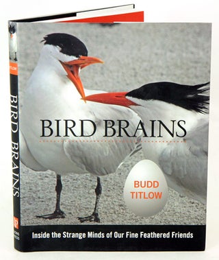 Stock ID 36723 Bird brains: inside the strange minds of our fine feathered friends. Budd Titlow
