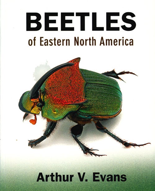Stock ID 36734 Beetles of eastern North America. Arthur V. Evans.