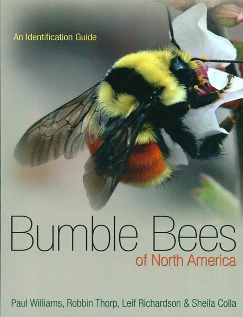 Stock ID 36735 Bumblebees of North America: an identification guide. Paul Williams.