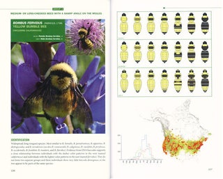 Bumblebees of North America: an identification guide.