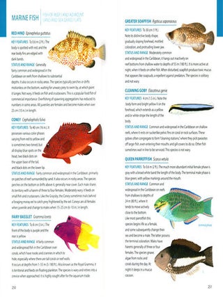 Wildlife of the Caribbean.