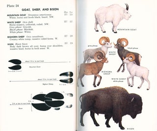A field guide to the mammals: field marks of all North American species found north of Mexico.
