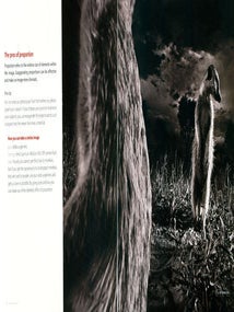 Phototips: composing nature.