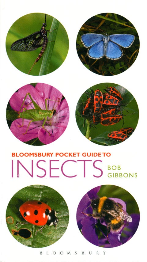 Stock ID 36975 Bloomsbury pocket guide to insects. Bob Gibbons.