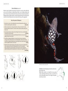 Reptiles and amphibians of Australia.