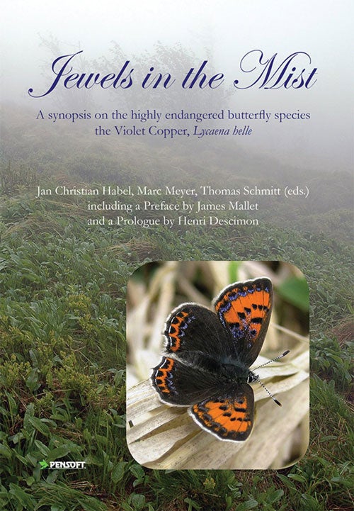 Stock ID 37067 Jewels in the mist: a synopsis on the highly endangered butterfly species the Violet copper, Lycaena helle. Jan Christian Habel.