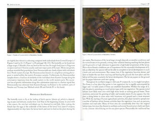 Jewels in the mist: a synopsis on the highly endangered butterfly species the Violet copper, Lycaena helle.