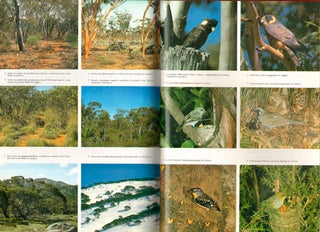 Birds of eucalypt forests and woodlands: ecology, conservation, management.