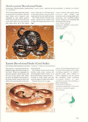 Encyclopedia of Australian animals: reptiles.