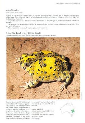 Encyclopedia of Australian animals: frogs.