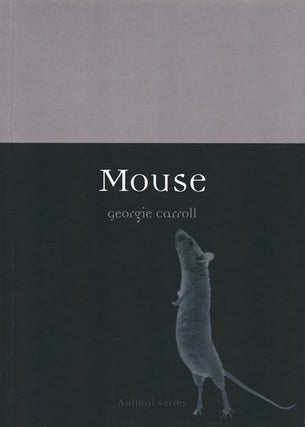 Stock ID 37201 Mouse. Georgie Carroll