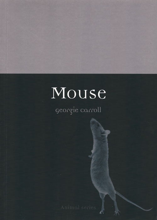 Stock ID 37201 Mouse. Georgie Carroll.