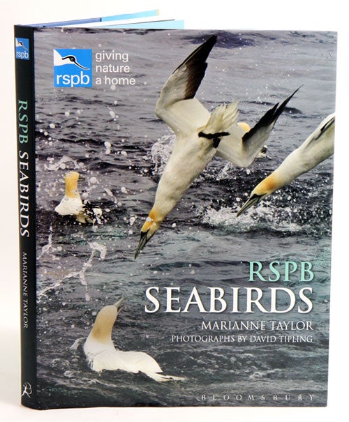 Stock ID 37210 RSPB seabirds. Marianne Taylor, David Tipling.
