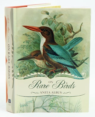 Stock ID 37242 On rare birds. Anita Albus