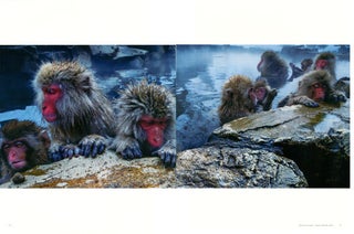 Earth is my witness: the photography of Art Wolfe.