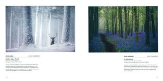 British Wildlife Photography Awards: collection five.