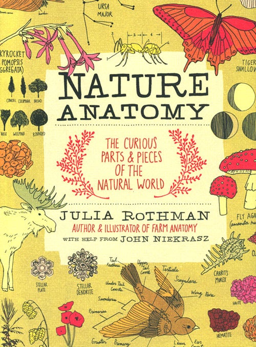 Stock ID 37314 Nature anatomy: the curious parts and pieces of the natural world. Julia Rothman, John Niekrasz.