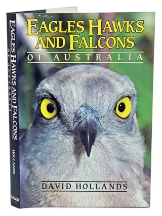 Stock ID 374 Eagles hawks and falcons of Australia. David Hollands