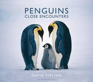 Penguins: close encounters. David Tipling.