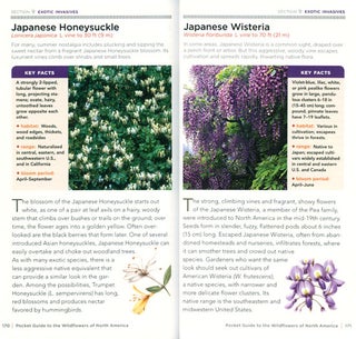 National Geographic pocket guide to wildflowers of North America.