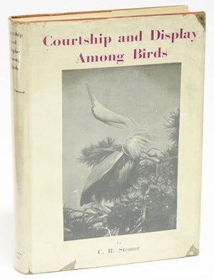 Stock ID 37560 Courtship and display among birds. C. R. Stonor.