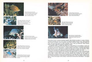 Reef fish: behavior and ecology on the reef and in the aquarium.