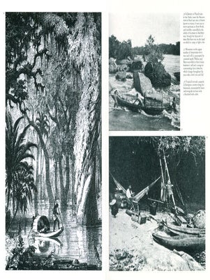 Naturalists in paradise: Wallace, Bates and Spruce in the Amazon.