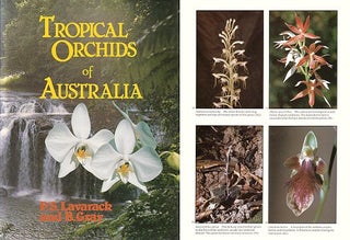 Tropical orchids of Australia.
