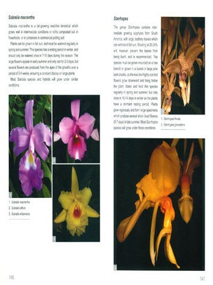 Orchids in South Africa: a gardener's guide.