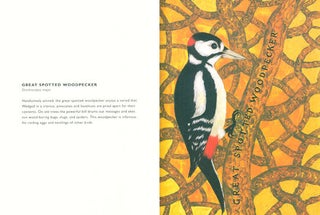 Birds.