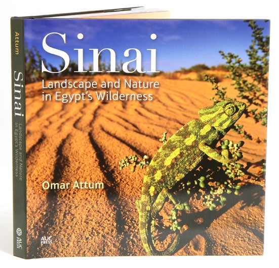 Stock ID 37644 Sinai: landscape and nature in Egypt's wilderness. Omar Attum.