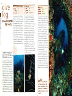 Diving the world: a guide to the world's most popular dive sites.