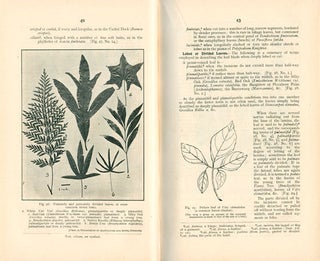 An elementary text-book of Australian forest botany, volume one [all published].