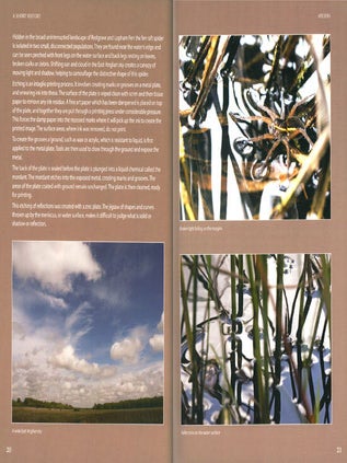 On the margins: the fen raft spiders of Redgrave and Lopham Fen.