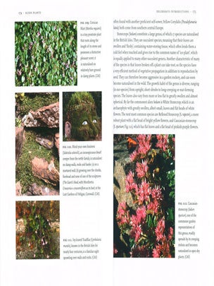 Alien plants.