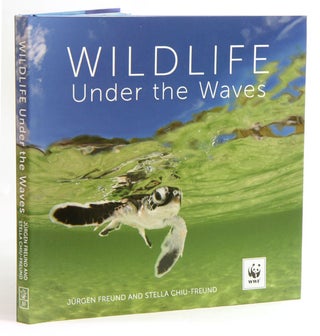Stock ID 37771 Wildlife under the waves. Jurgen Freund, Stella Chiu-Freund