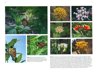 Monarchs in a changing world: biology and conservation of an iconic butterfly.