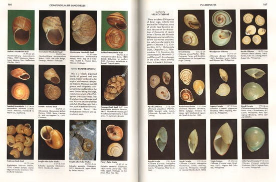 Compendium of landshells: a color guide to more than 2,000 of the world's  terrestrial shells by R. Tucker Abbott on Andrew Isles Natural History Books