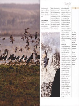 Wild coast: a celebration of the places where land meets sea.