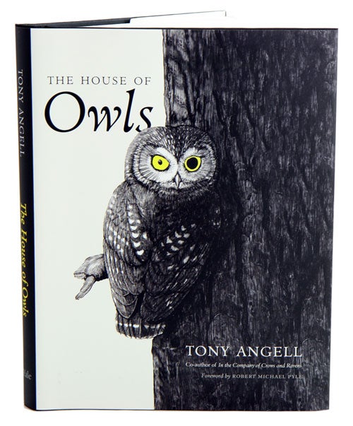 Stock ID 37896 The house of owls. Tony Angell.