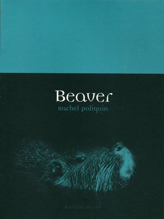 Stock ID 37900 Beaver. Rachel Poliquin