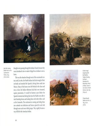 Bison.