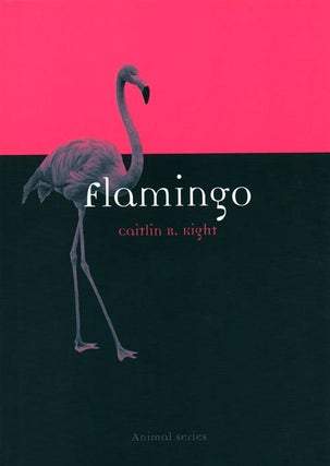 Stock ID 37920 Flamingo. Caitlin R. Kight